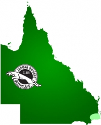 Gold Coast